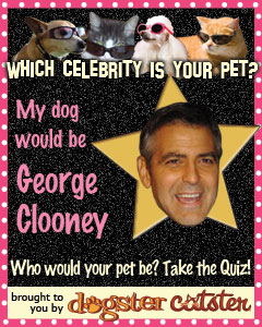 What celebrity would your pet be? I'm George Clooney! Find out at Dogster.com